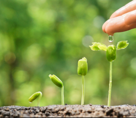 NPK grade Fertilizers