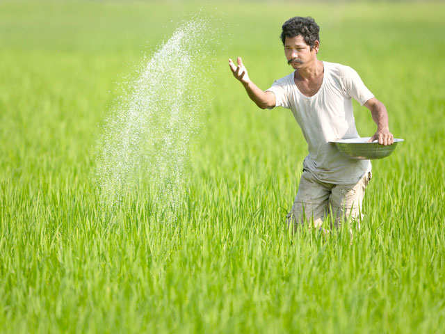 Phosphate Grade Fertilizers